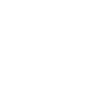 Logo VIAT